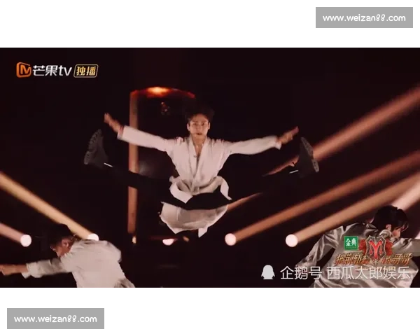 赵文卓武术比赛精彩表现集锦 精湛技艺征服全场观众